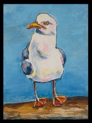 Seagull with attitude